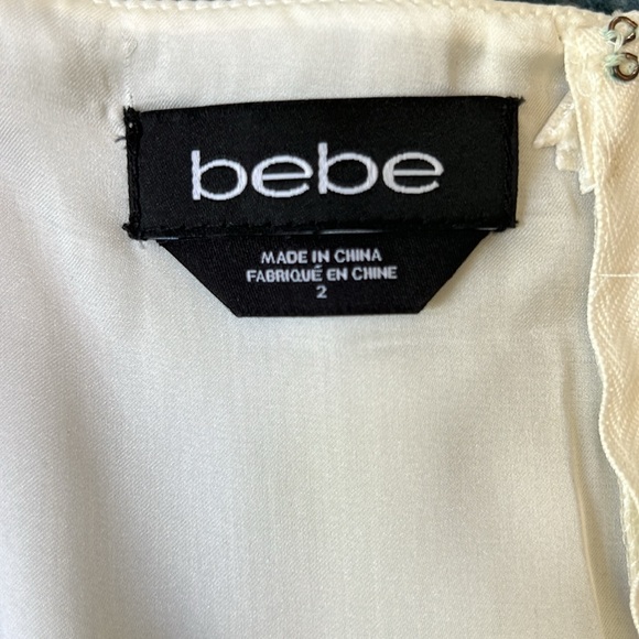 Bebe Lace Dress - Picture 12 of 13